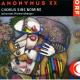 Υ˥ޥأ - Various: Anonymus XX -