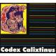 ռܡŤȥåν - Codex Calixtinus -