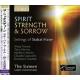 Хȡޡƥ  ᤷߤ - Stabat Mater -