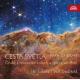 ϩ  ܥإߥȥΥꥹޥ - Path of Light -